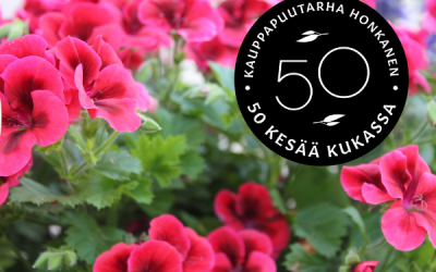 Näihin viiteen kasviin kannattaa tutustua