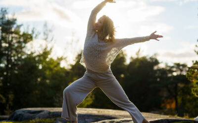 Energiaa ja elinvoimaa workshop  22.4.26